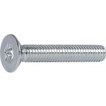 SCH Šroub zápustná hlava ISO14581 na TORX , 8.8 ocel pozink Varianta: Šroub zápustná hlava ISO14581 M4x30 TX 20, 8.8 ocel pozink – Zbozi.Blesk.cz