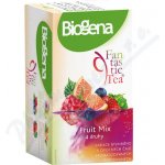 Biogena FANTASTIC FRUITMIX 4 x 5 sáčků ovocný čaj 42 g – Sleviste.cz