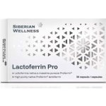 Siberian Health Lactoferrin Pro 30 kapslí – Hledejceny.cz
