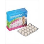 Capraverum Cat probioticum prebioticum 30 tbl – HobbyKompas.cz