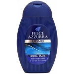 Felce Azzurra sprchový gel Uomo Cool Blue 250 ml – Zboží Mobilmania