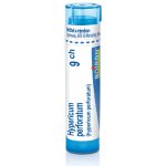 HYPERICUM PERFORATUM POR 9CH GRA 1X4G – Hledejceny.cz