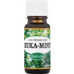 Saloos esenciální olej Euka-mint 10 ml – Zbozi.Blesk.cz