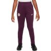 Dětské tepláky Nike PSG Y NK DF STRK PANT KPZ fn9968610