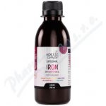 Adelle Davis Liposomal Iron+vit.C 200 ml – Hledejceny.cz