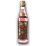 R. Jelínek sladká malina 35% 0,7 l (holá láhev) – Zboží Dáma