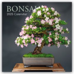 Bonsai Bonsaibäume 16-Monats 2025