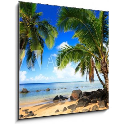 Skleněný obraz 1D - 50 x 50 cm - Palm trees in Kauai Hawaii in the morning Palmy na Kauai na Havaji ráno – Hledejceny.cz