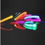 Reedog svítící obojek pro malé psy a kočky – Zboží Dáma Reedog svítící obojek pro malé psy a kočky – Zboží Dáma