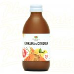 EkoMedica Kurkuma s citronem 250 ml – Hledejceny.cz