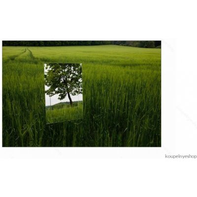 Amirro Romy 50 x 40 cm 712-826 – Hledejceny.cz