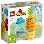 LEGO® DUPLO® 10981 Pěstování mrkve – Zboží Živě