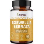 Boswellia Serrata 60 kapslí – Hledejceny.cz