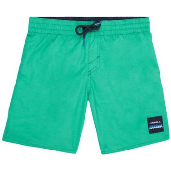 O'Neill Pb Vert Shorts zelená