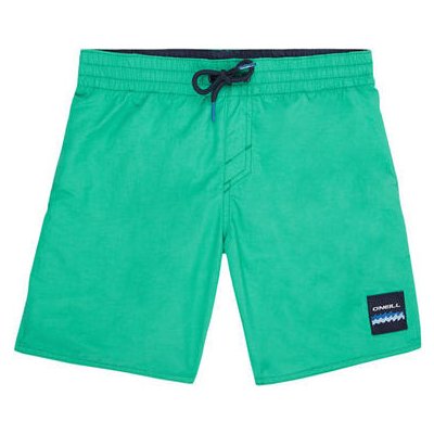 O'Neill Pb Vert Shorts zelená – Zbozi.Blesk.cz