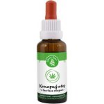 CBDčko CBD + MCT Olej Strawberry Jahoda 10% 10 ml – Sleviste.cz