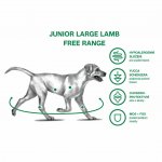 Sam's Field Low Grain Junior Large Lamb 13 kg – Zbozi.Blesk.cz