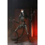 Neca Cosmic Group Alien Romulus Scorched Xenomorph – Zbozi.Blesk.cz