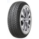 Osobní pneumatika Giti Winter W1 205/55 R16 91T