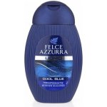 Felce Azzurra sprchový gel Uomo Cool Blue 250 ml – Zboží Mobilmania