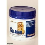 Orling - Gelacan Champion psi barevná plemena 150 g – Hledejceny.cz