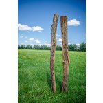 100-150x2000 Kůl ohradníkový akátový 120-150x2000 (mm) štípaný – Zboží Mobilmania