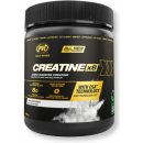 PVL Gold Series Creatine X8 249 g