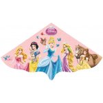 Günther DISNEY PRINCESS 115 x 63 cm – Hledejceny.cz