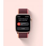 Apple Watch SE GPS + Cellular 40mm – Zboží Živě