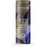 Bio Spectra přírodní balzám na rty attitude leaves bar s vůní kokosu 8,5 g – Hledejceny.cz