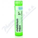 CHELIDONIUM MAJUS POR 5CH GRA 1X4G – Hledejceny.cz
