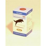 Arthronis fáze 1 Mini 60 tbl – Hledejceny.cz
