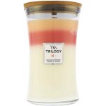 WoodWick Trilogy Blooming Orchard 275 g – Hledejceny.cz