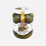 Ijevan Plněné vinné listy 670 g – Zboží Dáma