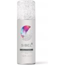 Sibel Hair Colour barevný sprej na vlasy stříbrné třpytky