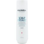 Goldwell Dualsenses Deep Cleansing Shampoo 250 ml – Zboží Mobilmania