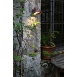 Faro 71194 – Hledejceny.cz
