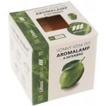 Rentex Vosk vonný kostičky Litsea Cubeba 8 ks 30 g – Sleviste.cz