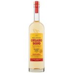 Gusano Rojo 38% 0,7 l (holá láhev) – Zboží Dáma