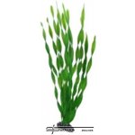 Hobby Vallisneria 46 cm – Sleviste.cz