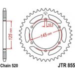 JT Sprockets JTR 855-45ZBK | Zboží Auto