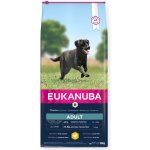 Eukanuba Adult Large Breed Chicken 15 kg – Hledejceny.cz