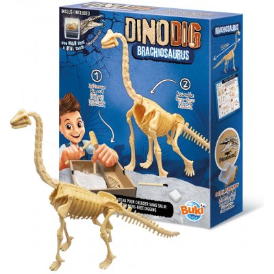 BUKI DinoDIG Triceratops vykopávka s kostrou a fosílií – Hledejceny.cz