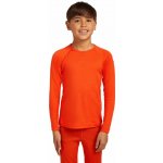 Icebreaker Kids 200 Oasis LS Crewe, Vibrant Earth vzorek – Zboží Dáma