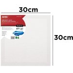 Artix Paints Malířské plátno 30x30cm – Hledejceny.cz