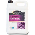 Horse Master Equisport Electrolyte 5 l – Sleviste.cz