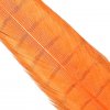 Výroba nástrahy Hends Products bažant ocastní peří Pheasant Tail Oranžová fluo