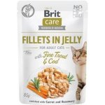 Brit Care Cat Fillets in Jelly Fine Trout & Cod 85 g – Sleviste.cz