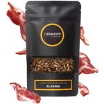 Crunchy Crickets s příchutí SLANINA 20 g – Zboží Dáma