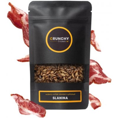 Crunchy Crickets s příchutí SLANINA 20 g – Zboží Dáma